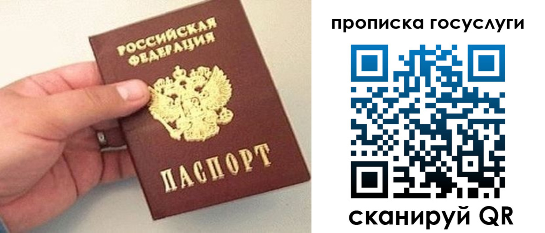 где прописаться в Вытегре